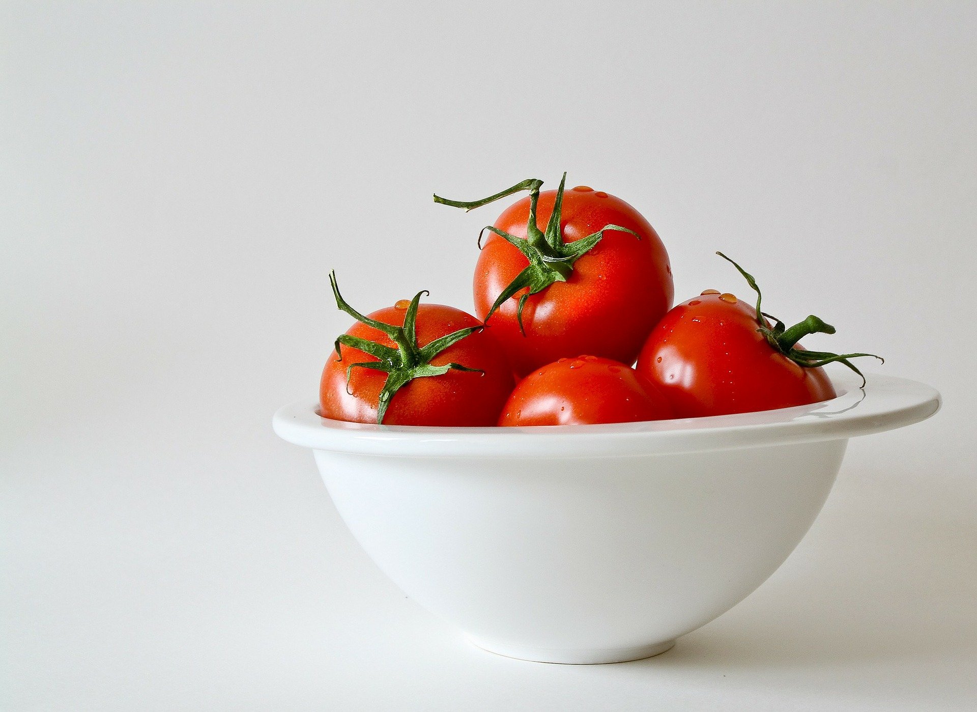 women in food technology