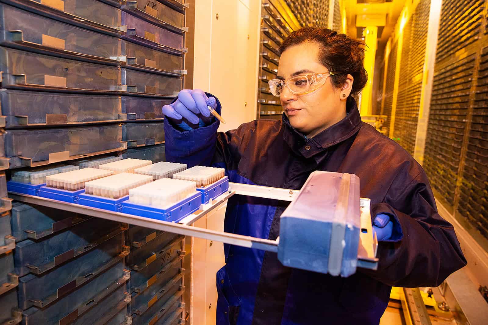 UK Biobank - freezer
